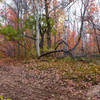 A lovely fall day on the Wagonwheel Trail.