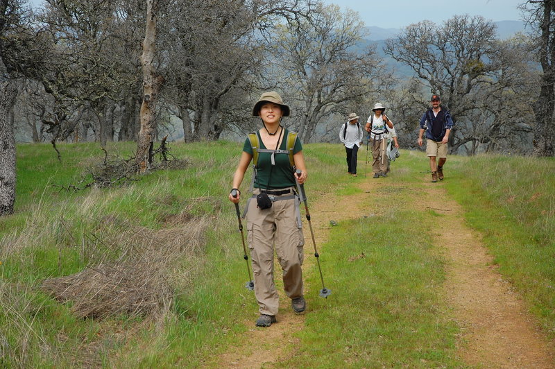 Hike in Henry Coe SP.