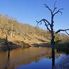 Small pond in Henry W. Coe State Park.