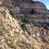 The Sinks, OC's mini Grand Canyon, as seen from the Limestone Canyon Road.