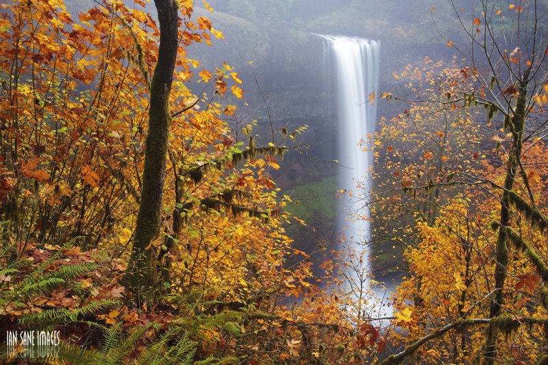 South Falls framed by fall foliage.