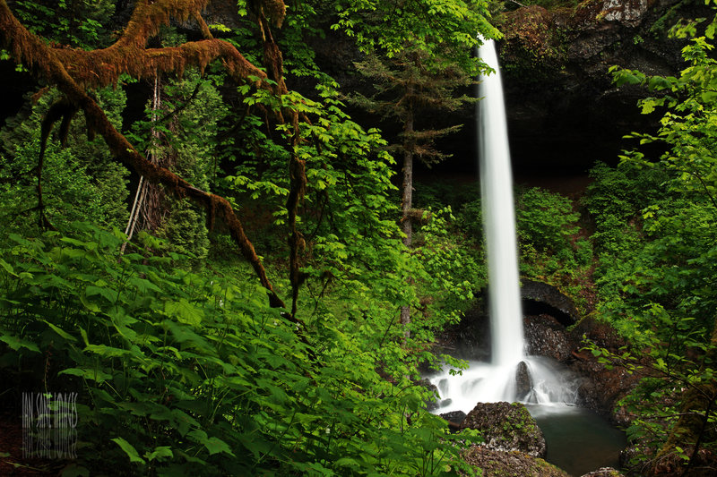 North Falls at Silver Falls State Park, OR.