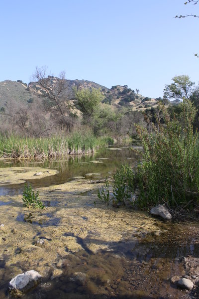 Las Virgenes Creek.