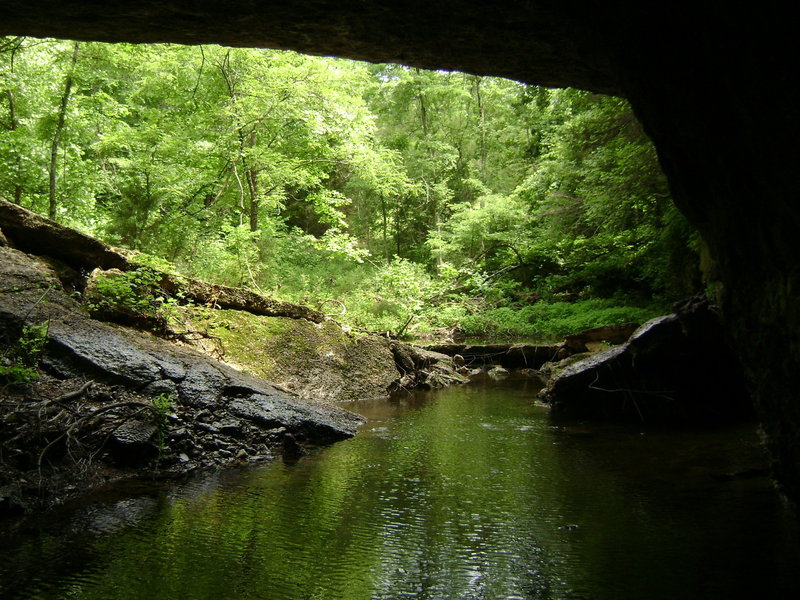 A view from within the Bennett Spring Natural Tunnel.