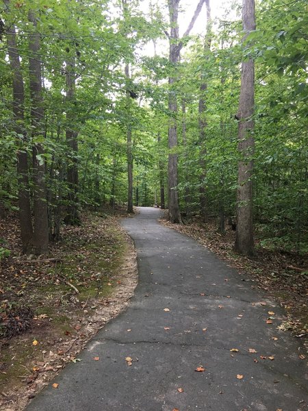 Paved pathway typical of South Run Stream Valley Trail.