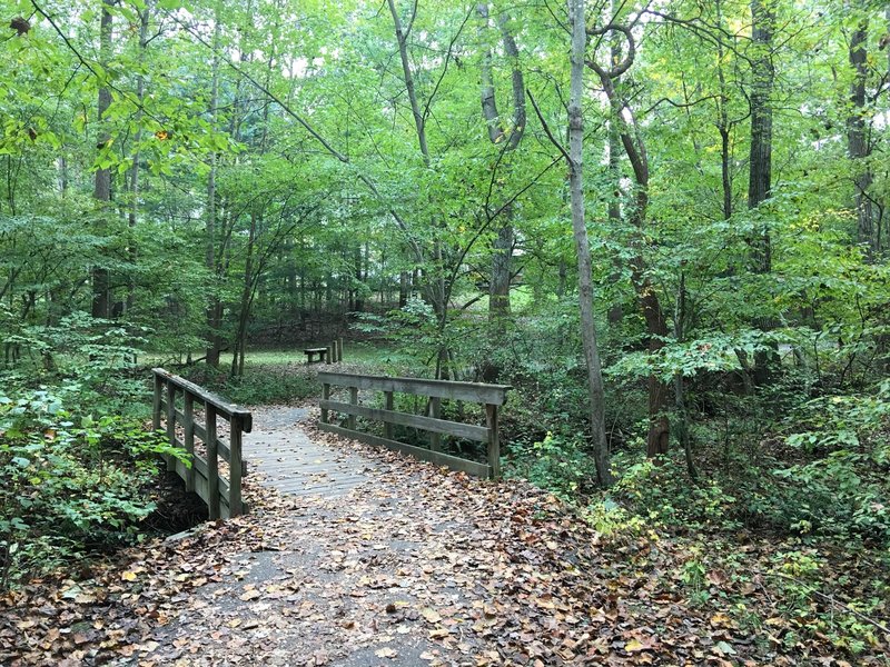 Bridge across small tributary flowing into South Run Stream.