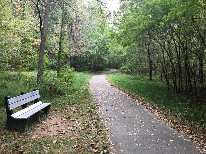 Bench on South Run Stream Valley Trail.