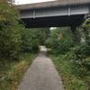 South Run Stream Valley Trail running underneath Lee Chapel Road overpass.