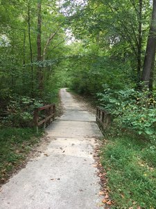 A bridge crossing a small tributary flowing into South Run stream.