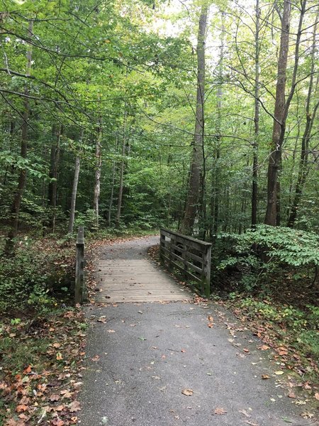 Bridge over tributary flowing into South Run stream.