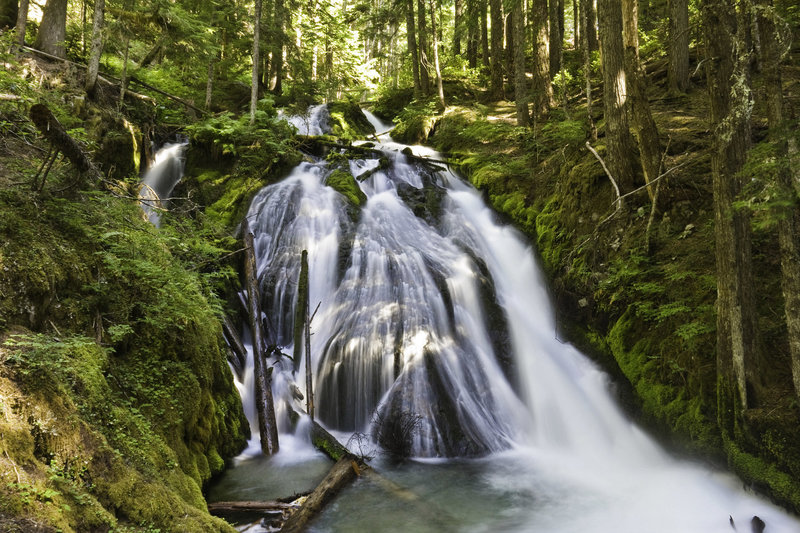 Little Zigzag Falls is a scenic destination for a kid-friendly hike. Photo courtesy of www.MtHoodTerritories.com