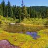 Kinzel Lake next to the trail, is small and swampy. Mosquito repellent is mandatory in early summer. Photo by John Sparks.