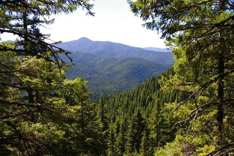 The intersection of Kinzel Lake Trail and Salmon River Traill#742 offer wilderness views. Photo by John Sparks.