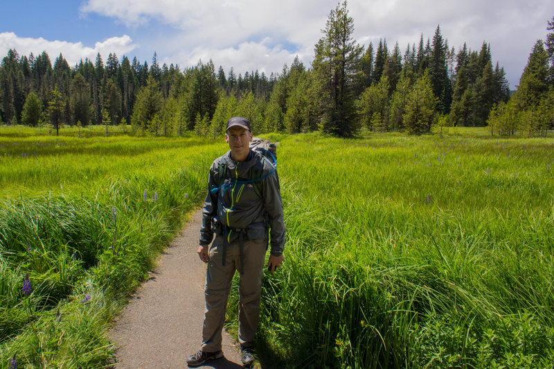 In the meadow.