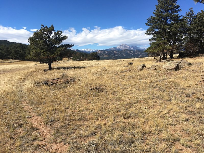 View of Mt. Meeker and Longs Peak.