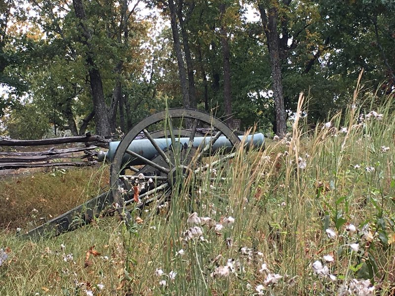 Cannon with wildflowers.