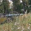 Cannon with wildflowers.