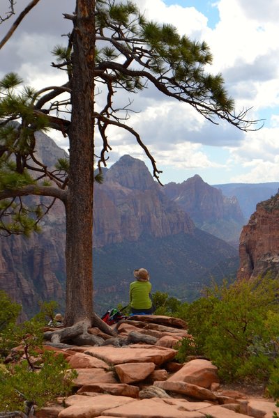 Angel's Landing Trail about halfway up.