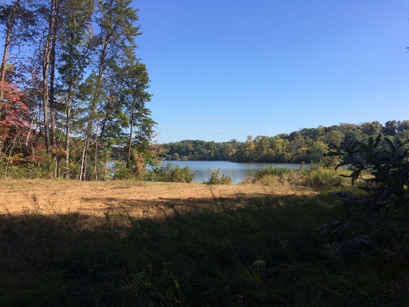 Lake Higgins from a utility cut.