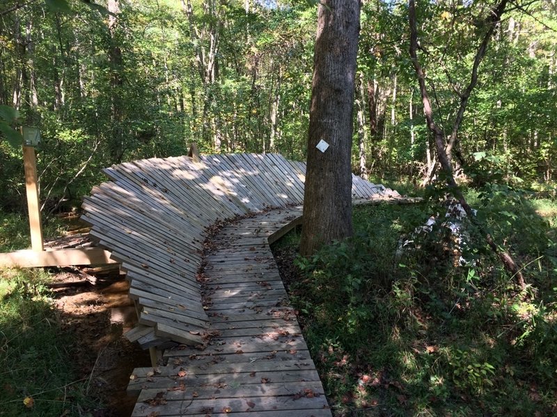 Artificial bank for mountain bikers. Most are man-made structures - bridges and boardwalks. Excellent maintenance.