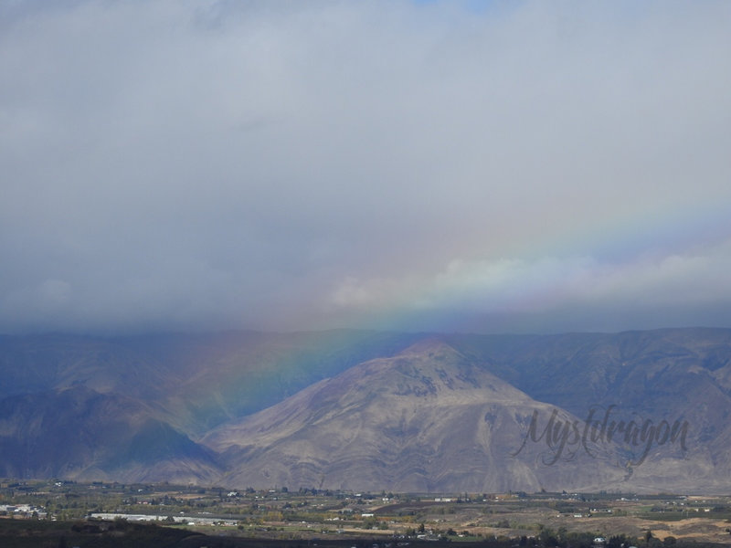 Rainbow over highland.