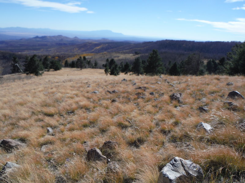 South-facing view of the Sandia Mountains from Pajarito Mountain.