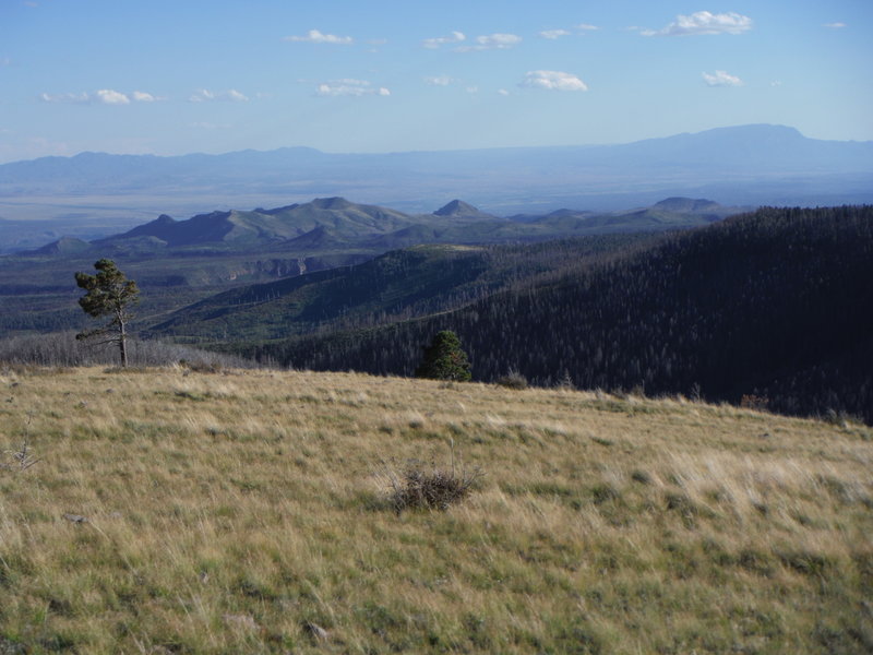 Sandia Mountains looking south from Pajarito Mountain. Frijoles Canyon in Bandelier National Monument is in the middle ground