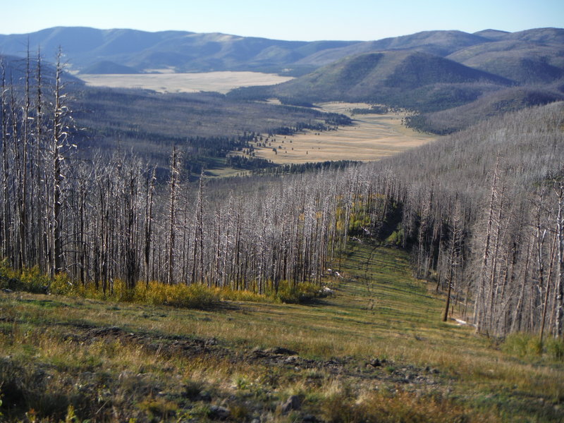 Valles Toledo and the northeastern corner of Valles Caldera National Preserve looking northwest from Pajarito Mountain.