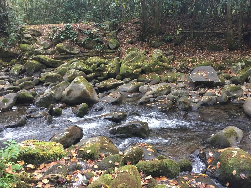 There are lots of tough river crossings along Forney Creek. The top-left of the image is the other side of the trail.