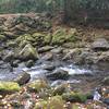 There are lots of tough river crossings along Forney Creek. The top-left of the image is the other side of the trail.