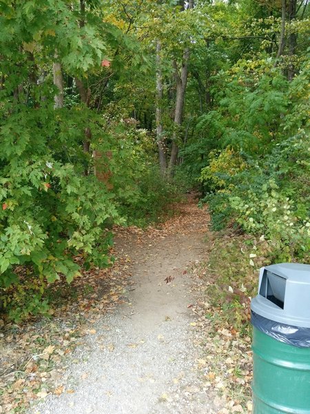 View of the exit into Rotary Park.