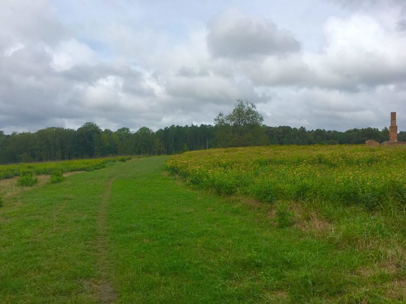 Singletrack on Poor Creek Trail with Taylor Farm/Site of Fort Morton.