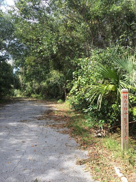 Where part of the trail meets the pavement. You are able to cross the road to make a loop on the trail!