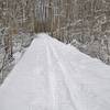 Winter along the boardwalk on the Discovery Trail