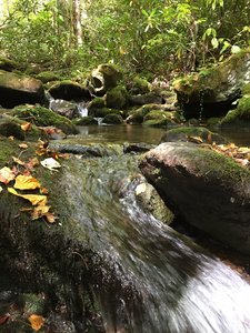 There are lots of nice areas to have a snack and refill your water supplies along Jonas Creek.