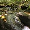 There are lots of nice areas to have a snack and refill your water supplies along Jonas Creek.