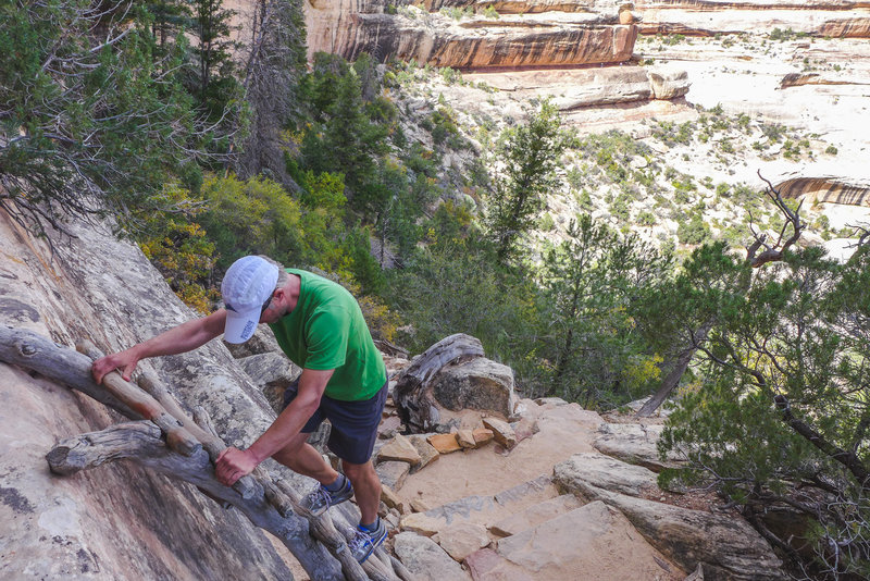 Fun little ladder you have to climb while on trail.