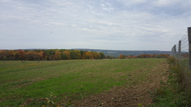 Panoramic view out into the valley.