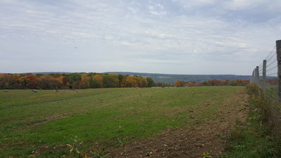 Panoramic view out into the valley.