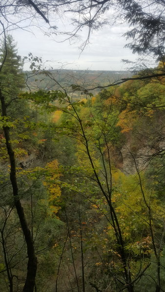 View of the gorge and the surrounding area.