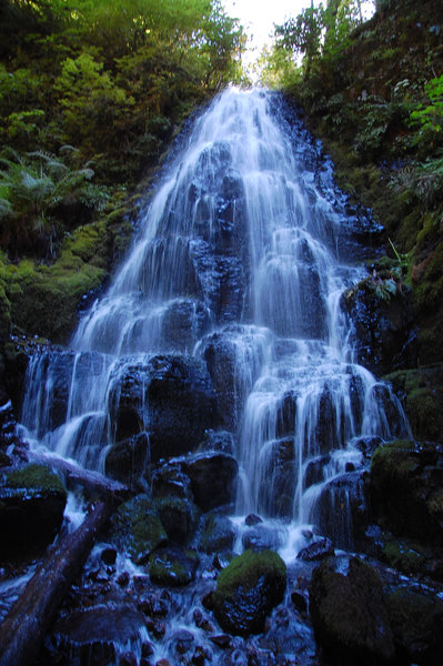 A beautiful shot of the Fairy Falls.