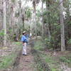 Our volunteer Master Naturalists scouting the Sunflower Trace Trail for a guided hike.