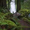 Silhouette view of Tanner Creek Falls.