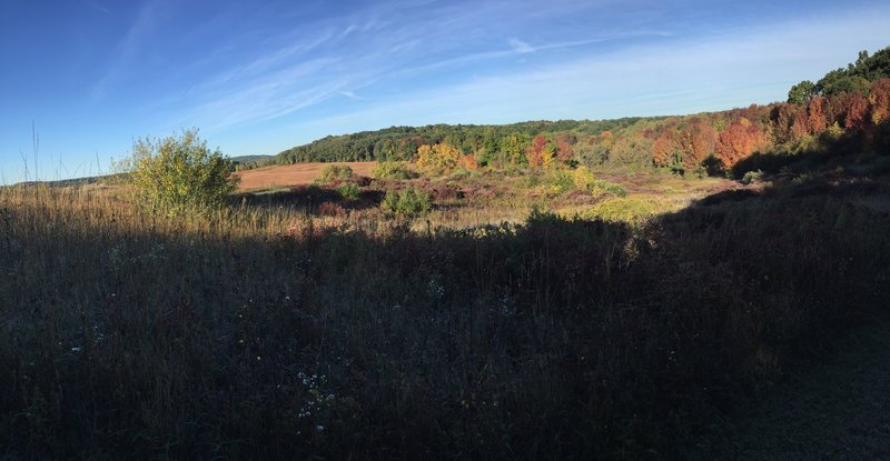 View from Ganondagan Trail.