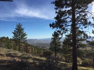 Views of Reno from the Old Lookout Peak.