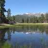 Dry Pond in the spring.