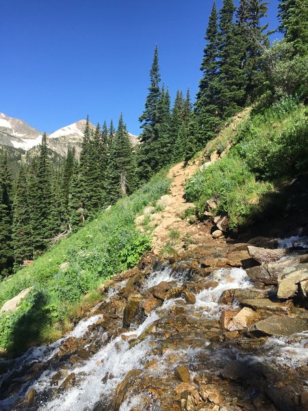 Crossing a waterfall heading up the trail.