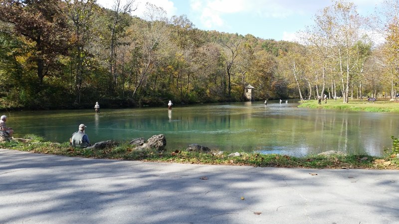 Up from Bennett Spring flows more than 100 million gallons of water per day.