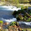 Spring Branch flowing over rocks just downstream from the spring.