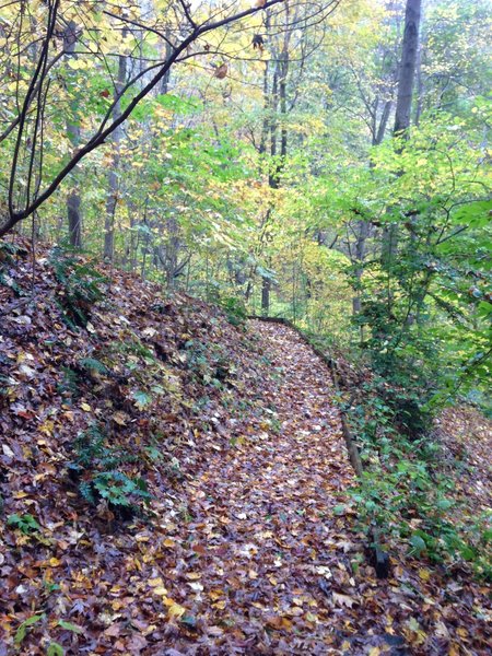 A fall perspective along the Upper Trail.